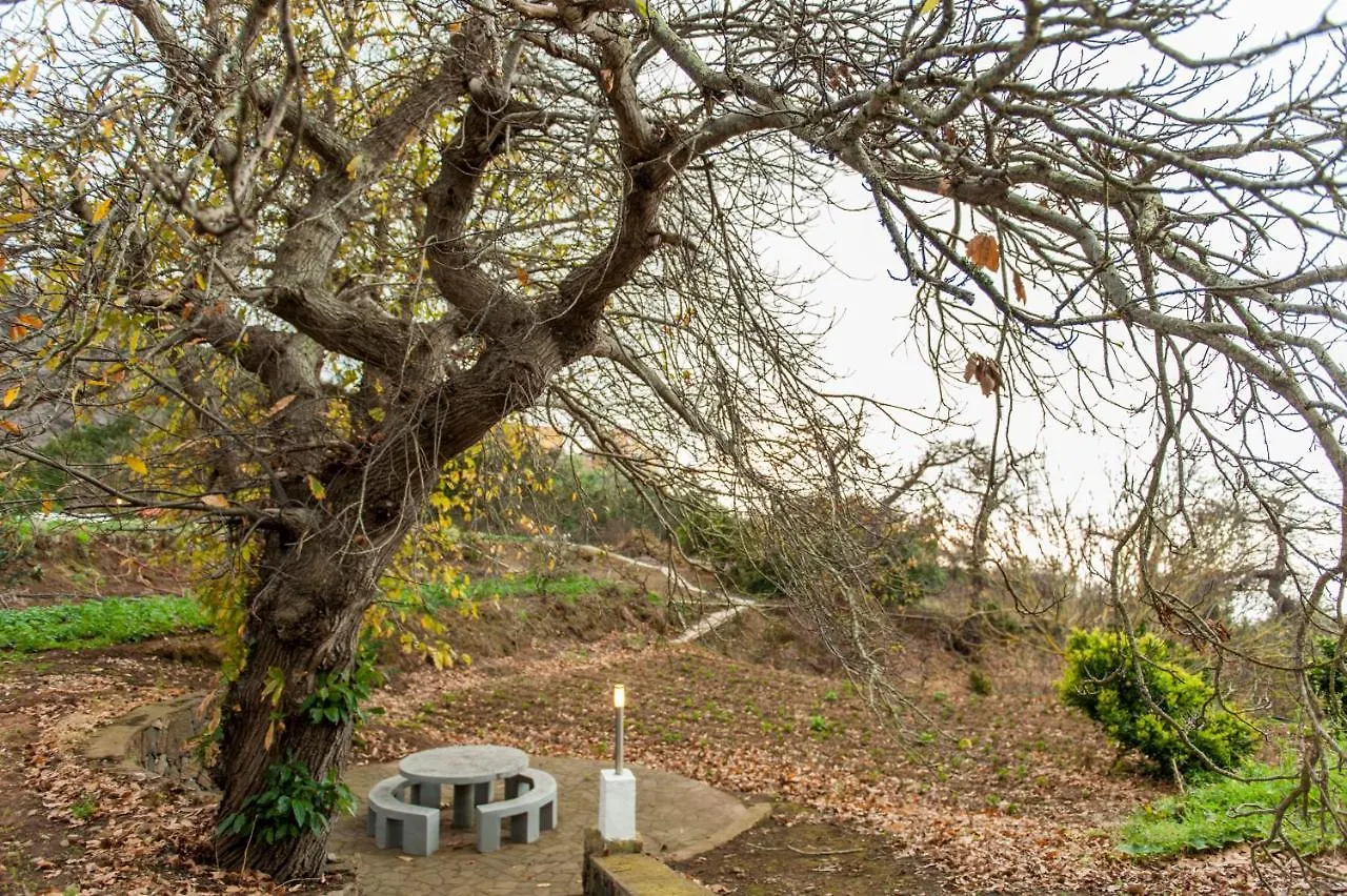 Villa Finca Los Castanos - Panoramic View 산타크루스데 테네리페