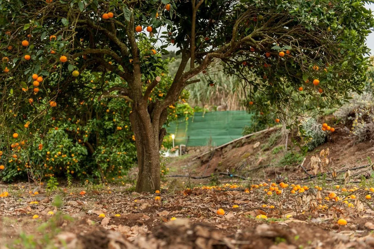 Villa Finca Los Castanos - Panoramic View 산타크루스데 테네리페 스페인